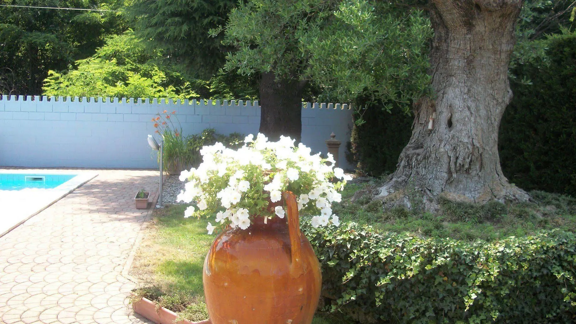 B&B Southitaly Busto Arsizio Italy
