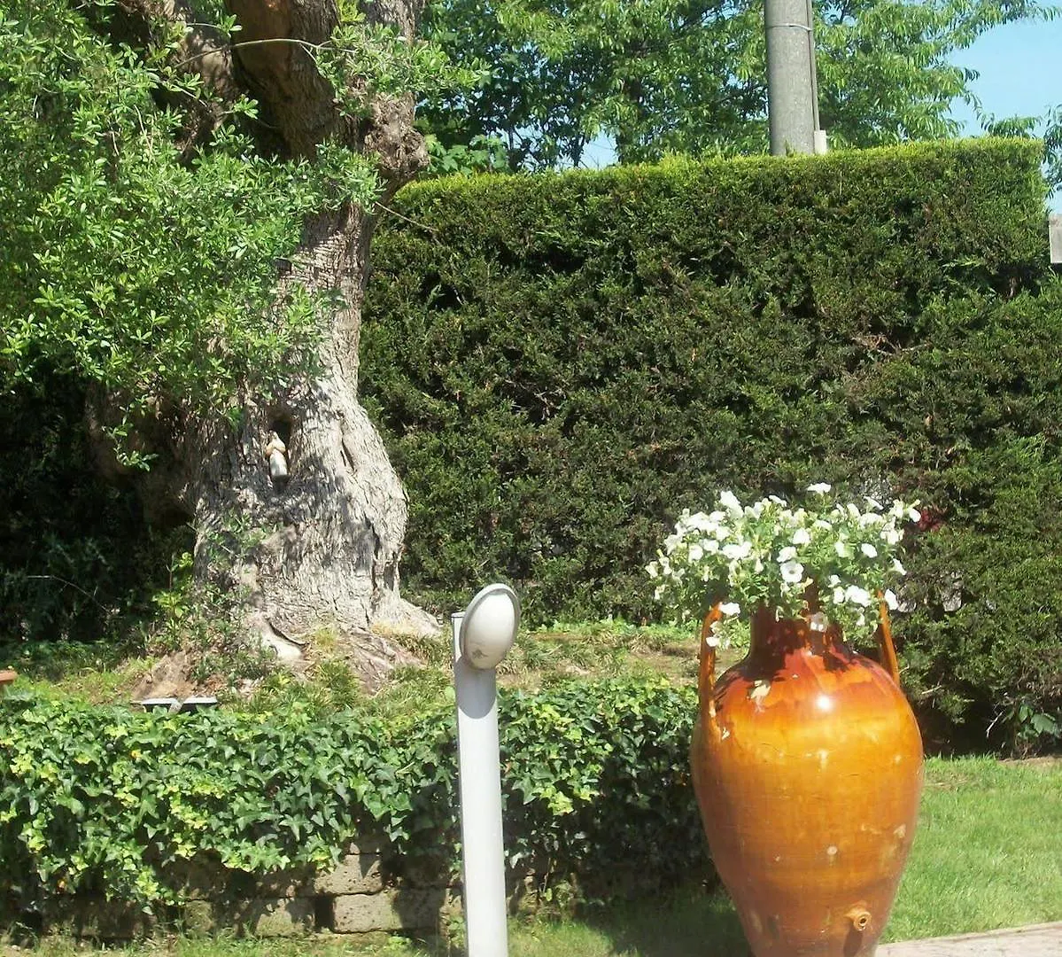 Bed & Breakfast B&B Southitaly Busto Arsizio Italy